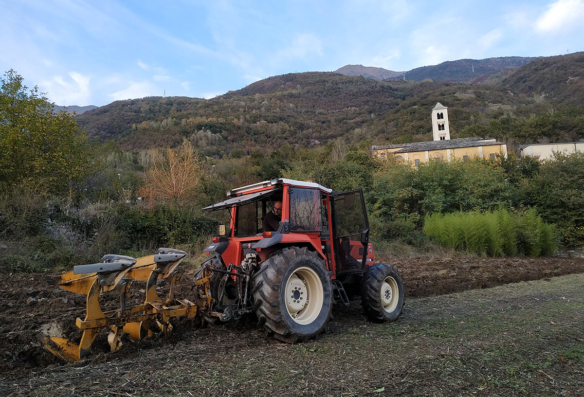 Campi di grano Mulino Valsusa